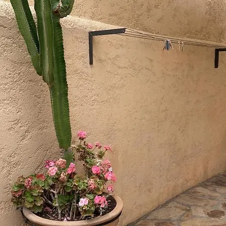 Daire With Kitchenette For 4 Guests Greece *